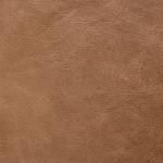 Palomino swatch
