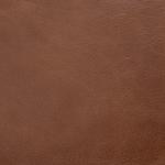Pecan swatch