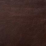 Cognac swatch