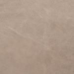 Fossil swatch