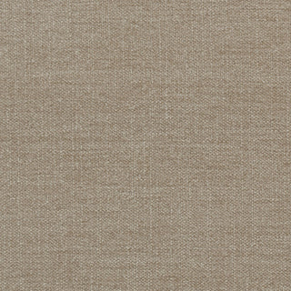 Cassian Wheat
