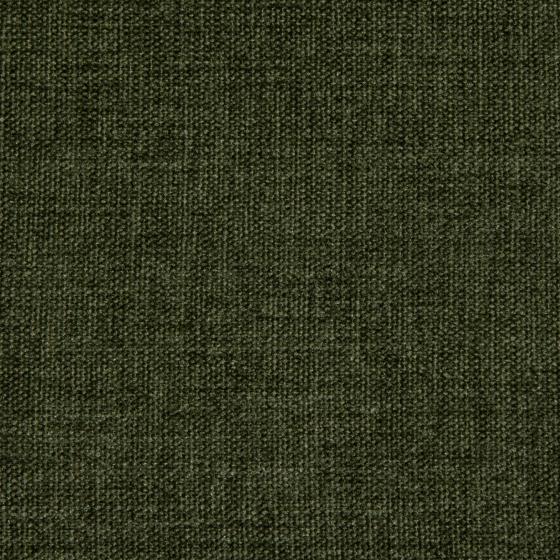 Olive swatch